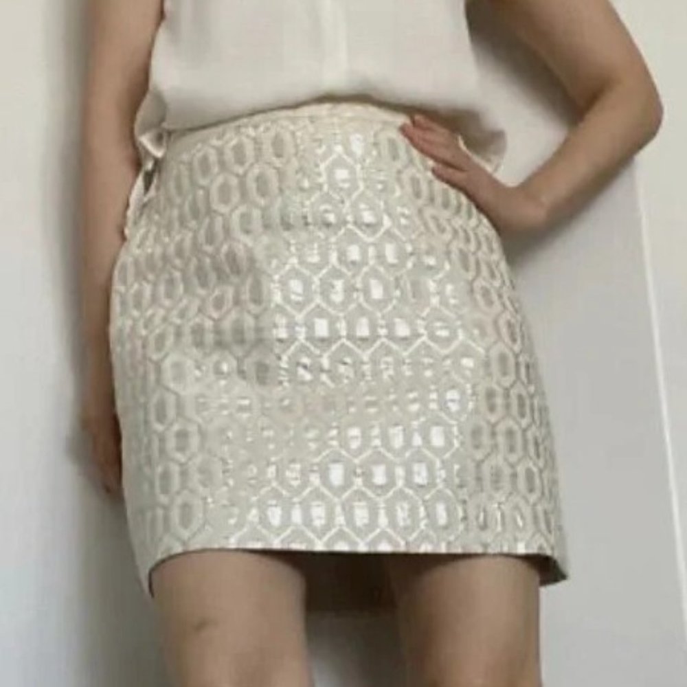 BANANA REPUBLIC NWT Women’s Silver Metallic Pencil Skirt